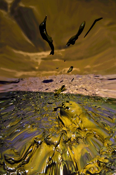 Dorina Nicolai - Vânătoare.jpg